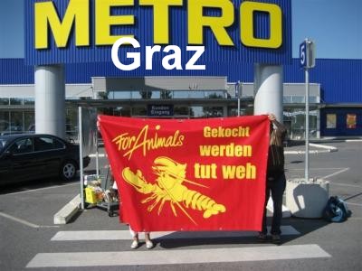  Metro Hummer Demo Graz