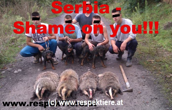 Serbienproteste