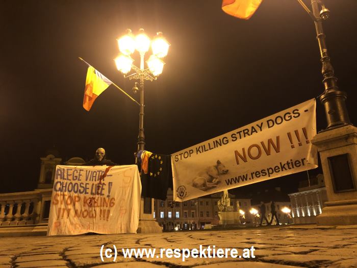 Protest Rumaenien