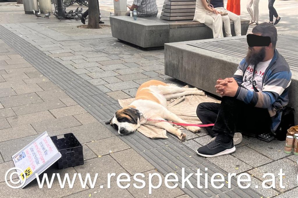Bettler mit Hund in Wien
