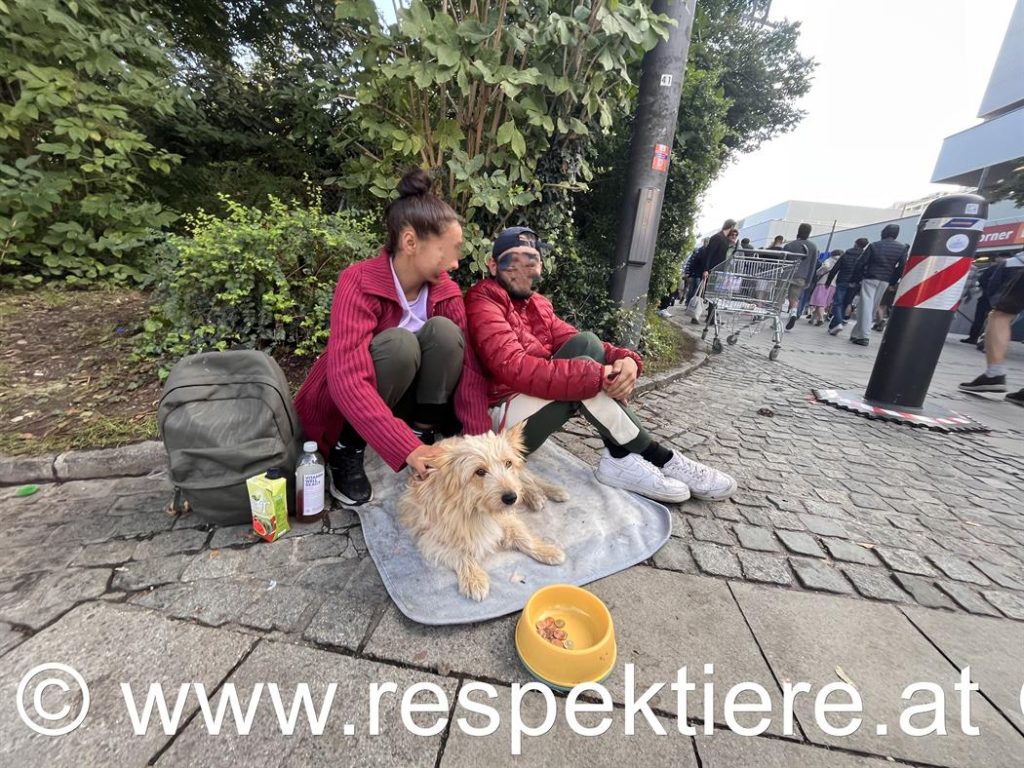 Bettler mit Hunden in Wien 5