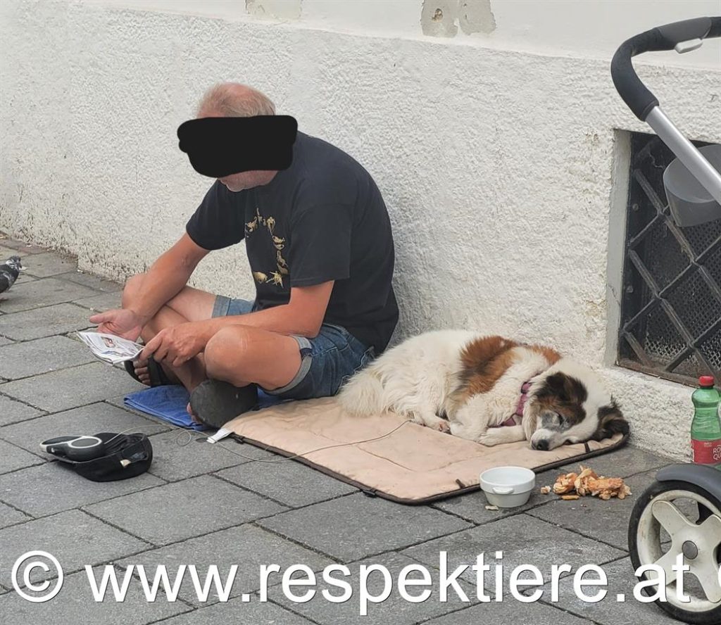 Bettler mit Hunden in Wien 8